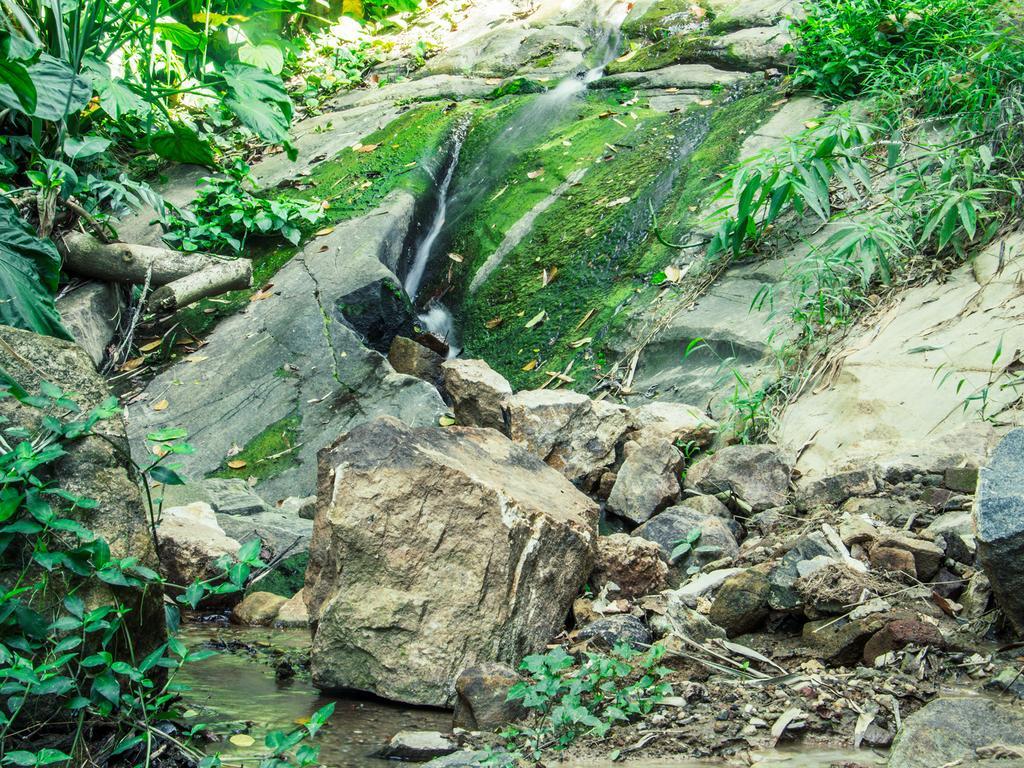 Aronka Homestay Kandy Luaran gambar